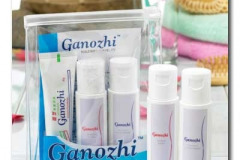 DXN-Ganozhi-Travel-Kit-400-500