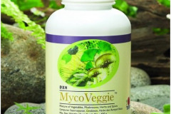DXN-MycoVeggie-434-434
