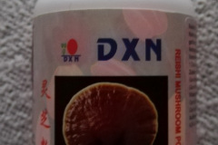 DXN-Reishi-Pulver-495-1000